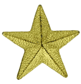 Gold Star Pins