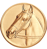 Horse Head English Litho Medal Insert