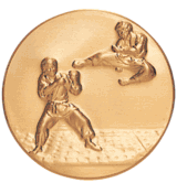 Karate (501161) Litho Medal Insert