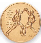 Karate (507129) Litho Medal Insert