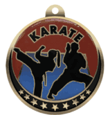 Karate Insert Medal