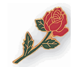 Long Stem Red Rose Flower Pins