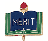 Merit Lapel Pins