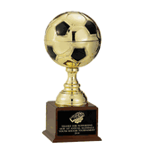 Metal Soccer Trophy