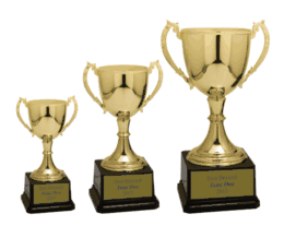 Metal Trophy Cups