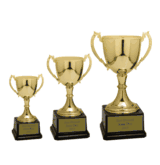 Metal Trophy Cups