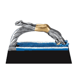 Motion Xtreme (700 Series) Trophies - Male / Boys Swimming