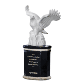 Natural Leadership Eagle Award