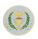 Outstanding Contributor Award Medal Insert (Etched)