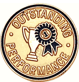 Outstanding Performance Lapel Pin (BR Series)