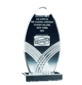 Oval Acrylic Trophy