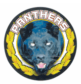 Panthers Medal Mascot Medal Insert