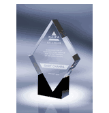 Paradigm Award Crystal