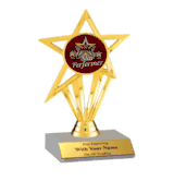 Participation Insert Trophy - Star Performer