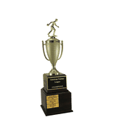 Perpetual Series Trophy - Bowling