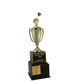 Perpetual Series Trophy - Darts