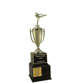 Perpetual Series Trophy - Karate