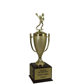 Perpetual Series Trophy - Lacrosse