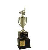 Perpetual Series Trophy - Motocross