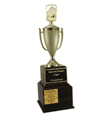 Perpetual Series Trophy - Pickleball