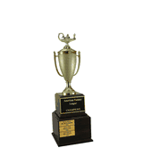 Perpetual Series Trophy - School