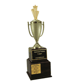 Perpetual Series Trophy - Star Performer