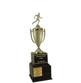 Perpetual Series Trophy - Track