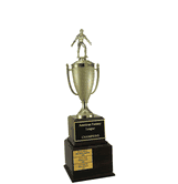 Perpetual Series Trophy - Wrestling