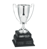 Perpetual Silver Cup Fantasy Team Trophy