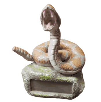 Rattlesnake Trophies - Click to enlarge