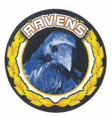 Ravens Mascot Medal Insert