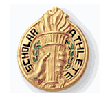 Scholar Athlete Lapel Pin (BR Series)