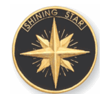 Shining Star - 1 Inch Gold Pin (BR Series)