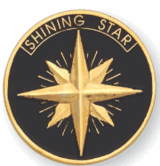 Shining Star - 1 Inch Gold Pin (BR Series)