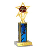 Single Column Insert Trophy - Star Performer