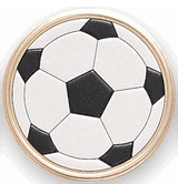 Soccer Ball Litho Medal Insert