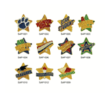 Sparkling Star-Shaped Achievement Lapel Pins