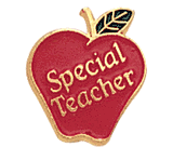 Special Teacher Lapel Pin (BR Series)