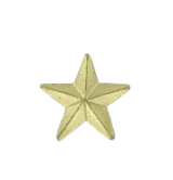 Star Lapel Pin Gold - 3/8 Inch (BR Series)