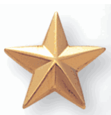 Star Lapel Pin Gold - 5/8 Inch (BR Series)