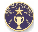 Star of Excellence Pin (BR Series)