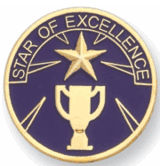 Star of Excellence Pin (BR Series)