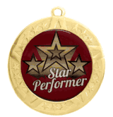 Epoxy Dome Gold Frame Insert Medal: Star Performer