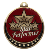 Star Performer Insert Medal