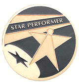 Star Performer Medal Insert (Etched, 517786)