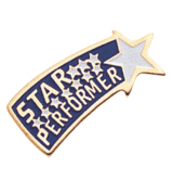 Star Performer Pins