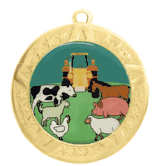 Epoxy Dome Gold Frame Insert Medal: State & County Fair