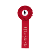 The Colorful World of Award Ribbons: A Fun Guide to Different Uses