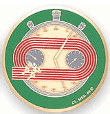 Track Medal Insert (Etched)