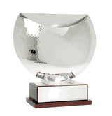 Treviso Sartor European Silver Cup Award